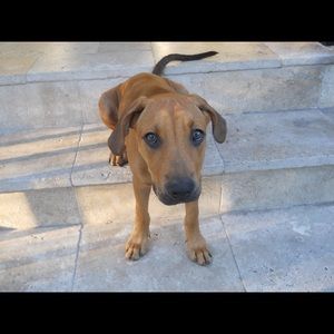 Meet your Posher, Catherine